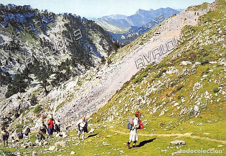Postales: Isaba , subida al collado de Ernaz - V. Roncal (Navarra) - Sin Circular - 1980