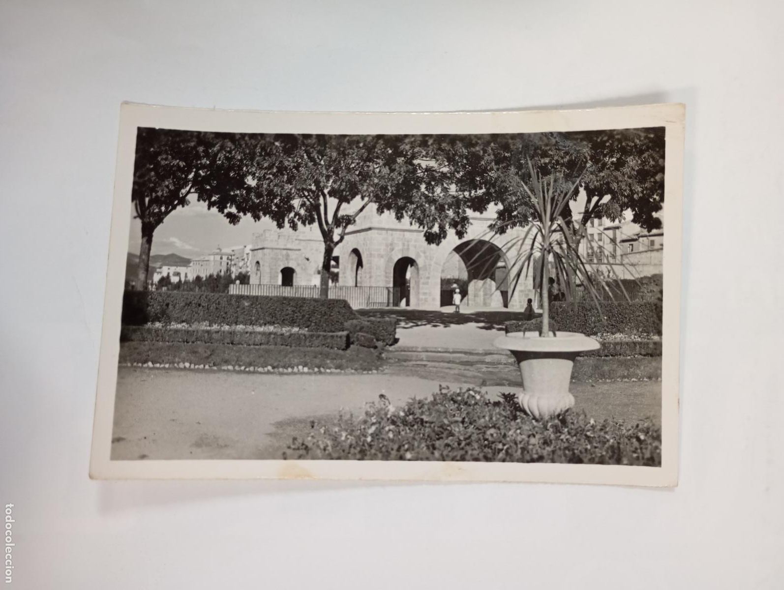 Postales: POSTAL DE PAMPLONA. JARDINES DE LA TACONERA. NAVARRA. TDKP30G