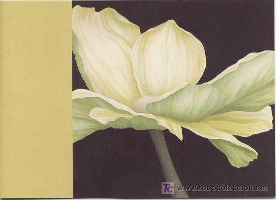 Postais: FELICITACION NAVIDAD *LA CAIXA*, A&Ntilde;O 2002, ILUSTRA ISABEL CRUELLAS