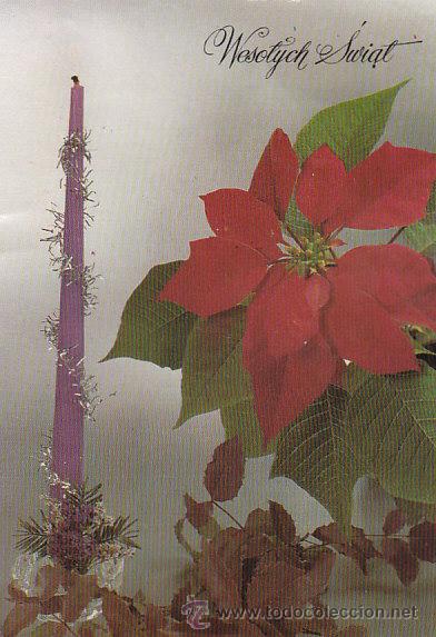 Postales: flor de Pascua y vela - Foto 1