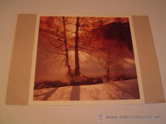 Postales: Postal de Navidad. - Foto 1