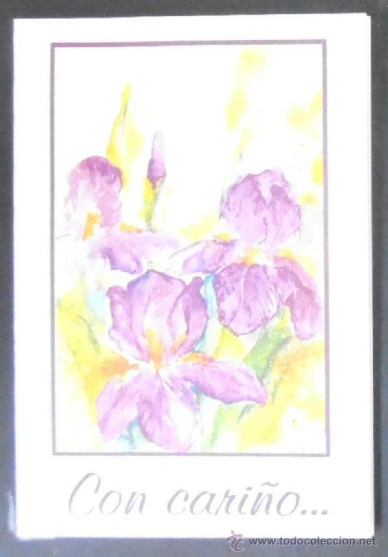 Postcards: (417)FELICITACION NAVIDE&Ntilde;A 9.5X6.5 CM APROX,FLORES,CONSERVACION