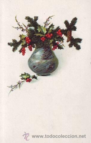 Postales: ACEBO Y PI&Ntilde;AS. - Foto 1