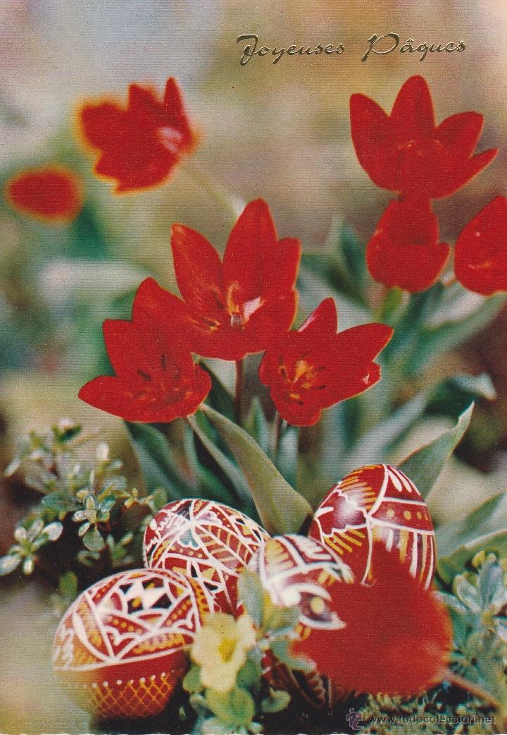 Cartes Postales: N&ordm; 21299 POSTAL FELICES PASCUAS