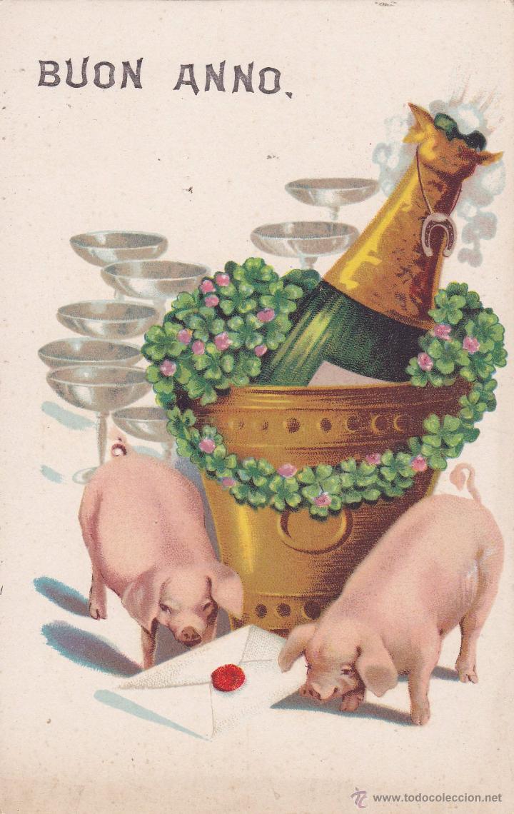 Postales: Buon Anno cerditos (sin circular) - Foto 1