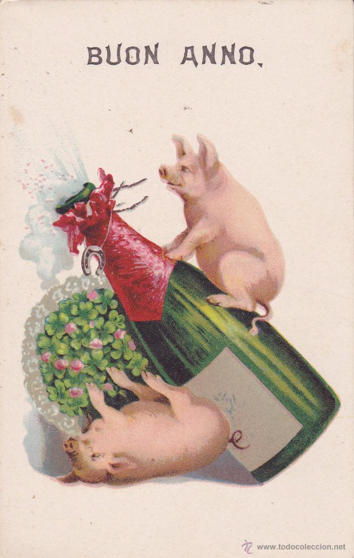 Postales: Buon Anno cerditos (sin circular) - Foto 1