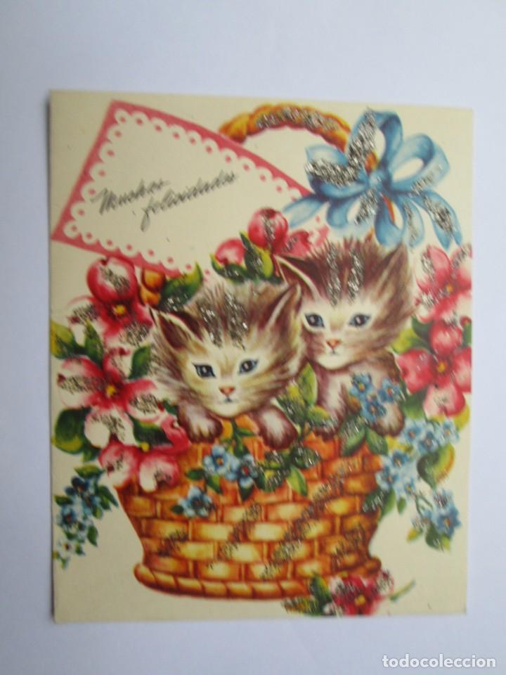 Postcards: NAVIDAD GATITOS. CHATONS DE NO&Euml;L. CHRISTMAS KITTENS. 1964