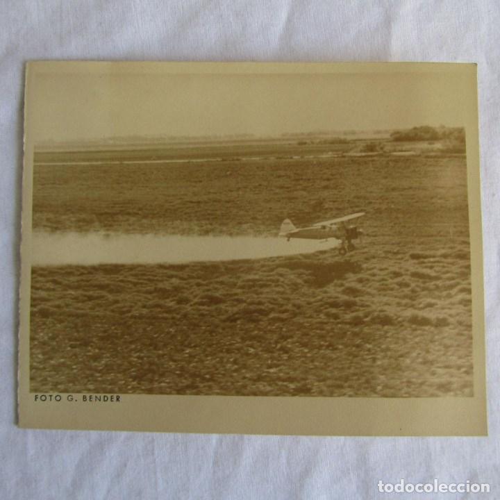 Postales: Felicitaci&oacute;n navide&ntilde;a 1954 Fotograf&iacute;a de avi&oacute;n fumigando. Servicios Agr&iacute;colas A&eacute;reos S.A.