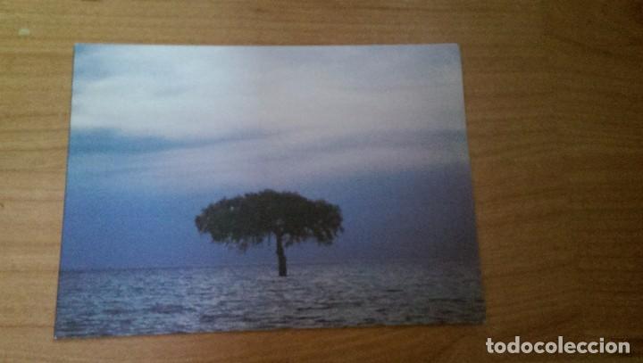 Postcards: POSTAL NAVIDE&Ntilde;A LA CAIXA 2001