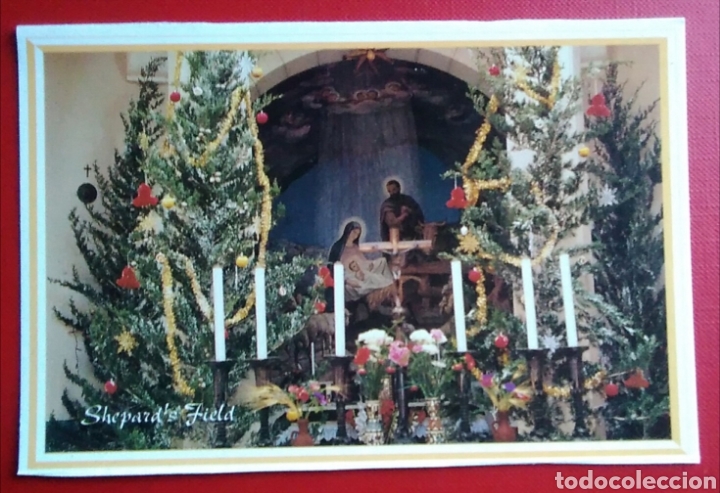 Postales: Postal Israel bethlehem Shepard field - Foto 1