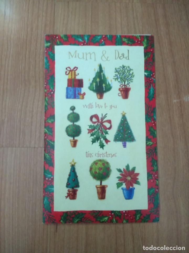Postcards: POSTAL NAVIDE&Ntilde;A &laquo;&Aacute;RBOLES DE NAVIDAD&raquo; SERIE A1XDO176