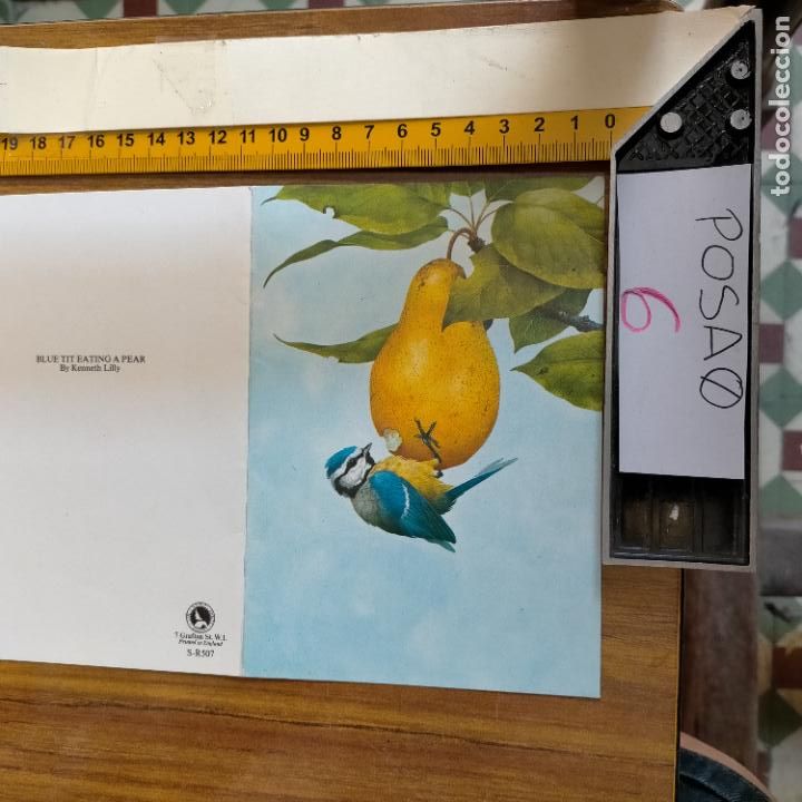 Postcards: OFERTAS X LOTES FELICITACION NAVIDADE&Ntilde;A Postales Navidad &Oacute; Christmas. DECORACION PORTAL BELEN