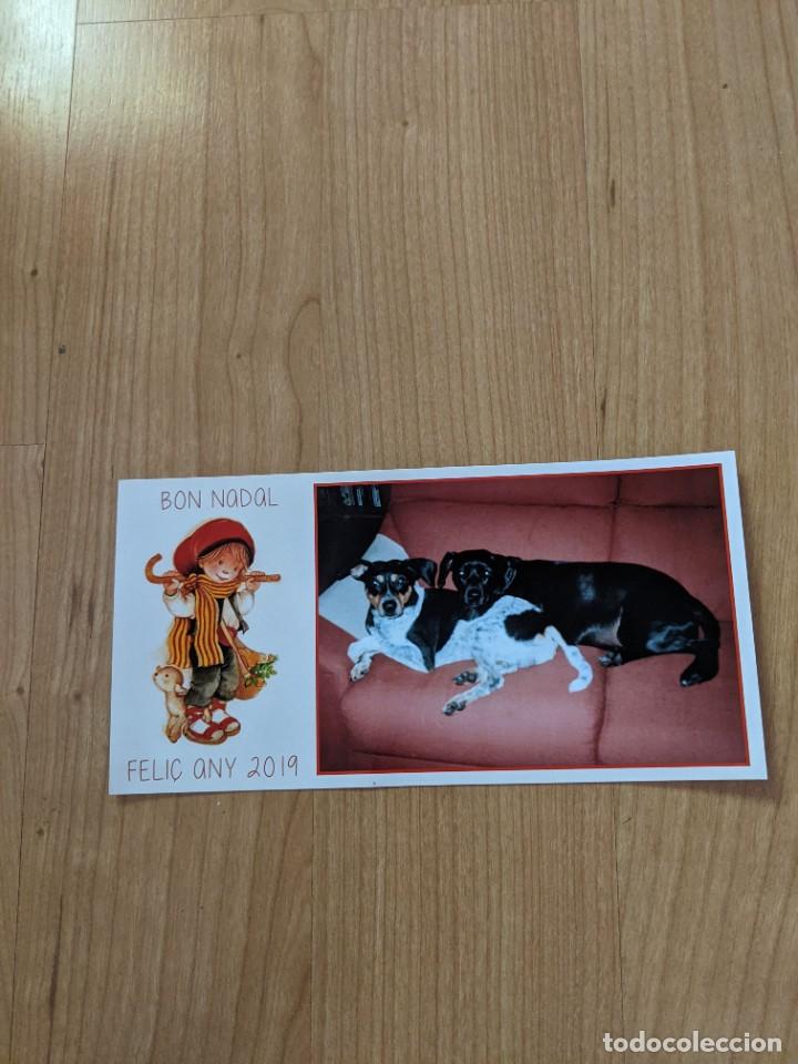 Postcards: POSTAL NAVIDE&Ntilde;A FOTO PERROS