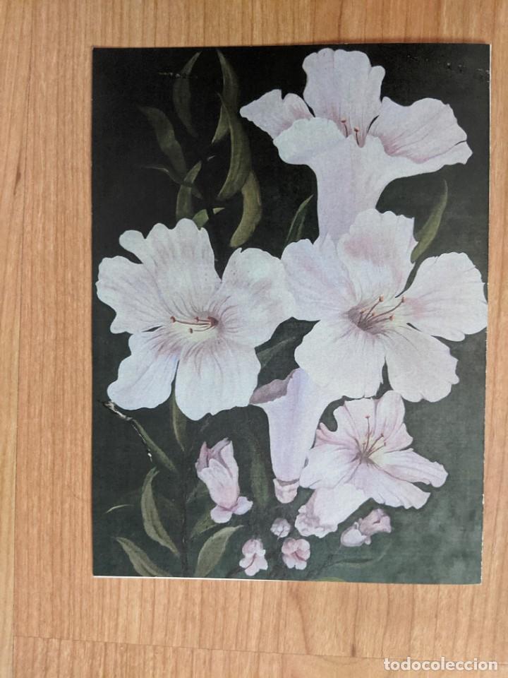 Postais: POSTAL NAVIDE&Ntilde;A DOBLE TAMA&Ntilde;O 17 X 13 (MANUSCRITA)