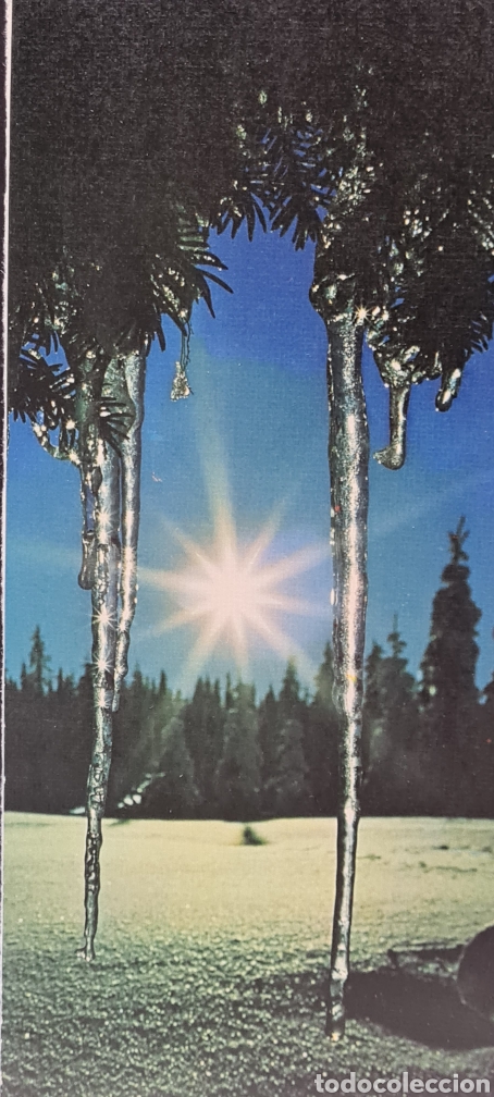 Postkarten: Preciosa postal de Navidad. Paisaje helado