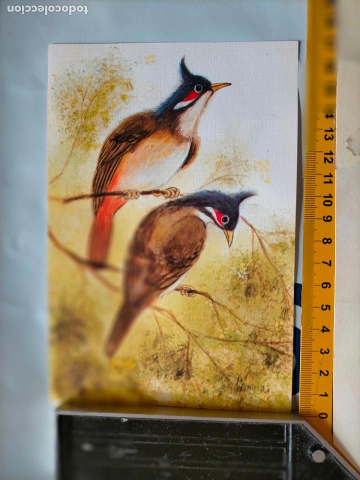 Postales: REFERENCIA MUESTRAS : FELICITACION NAVIDAD DESPEGADA DE MUESTRARIO O ALBUM DE TIENDA . LEER