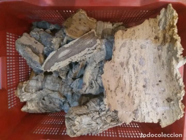 Postais: Caja llena de corteza de corcho sin trabajar, ideal para pesebres de Navidad