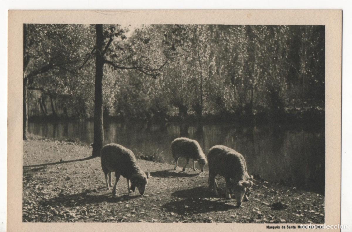 Postais: Antigua felicitaci&oacute;n navide&ntilde;a de Seguros Lucero