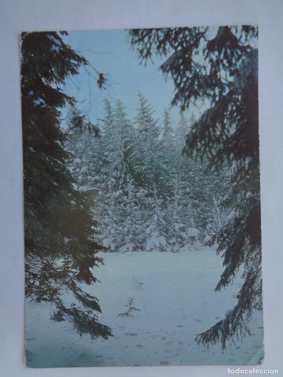 Postales: BONITA TARJETA DE FELICITACION DE NAVIDAD DE LA ALEMANIA COMUNISTA . CIRCULADA A ESPA&Ntilde;A