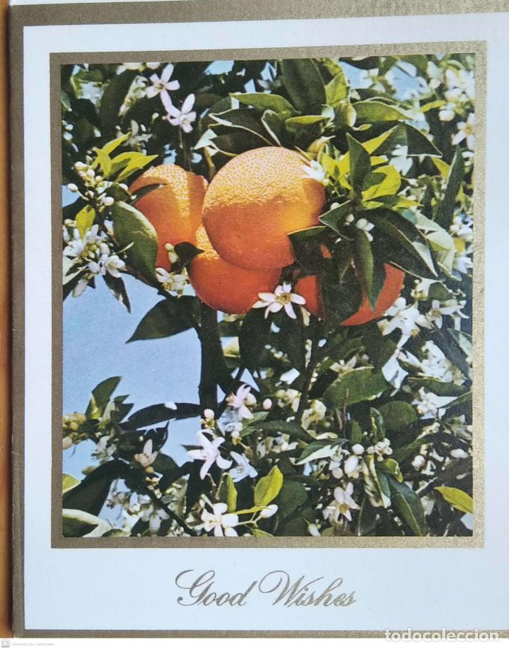 Cartes Postales: Felicitaci&oacute;n con buenos deseos. Naranjas en un &aacute;rbol y flores de azahar. Postal israel&iacute;. Tiene cuat