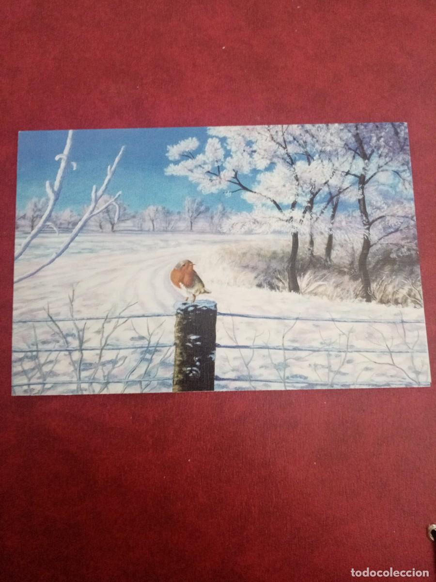 Postkarten: Postal Navidad, paisaje invernal