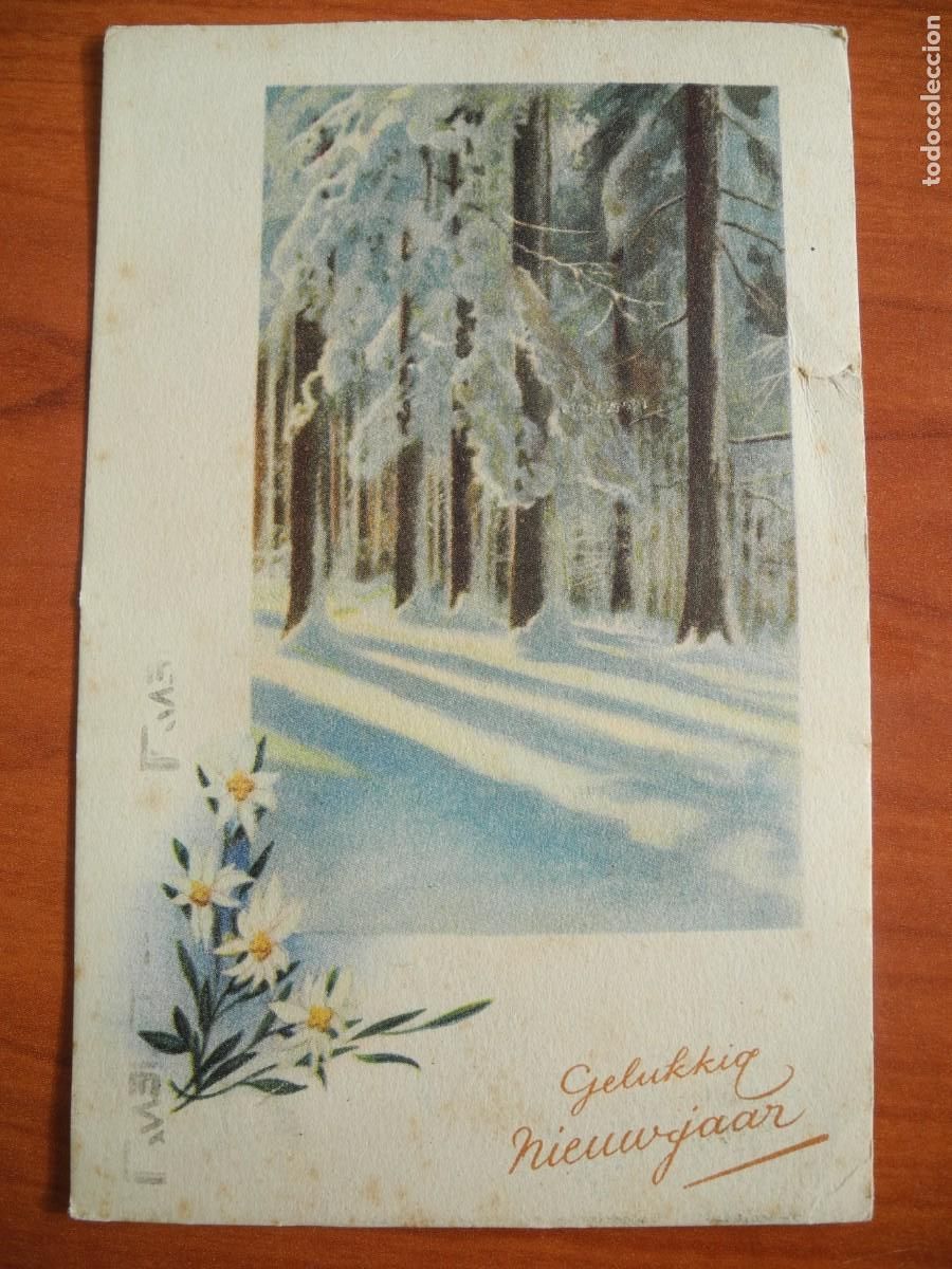 Postais: Postal Navidad. Flores paisaje nevado. 14x9. Circulada con sello 1949