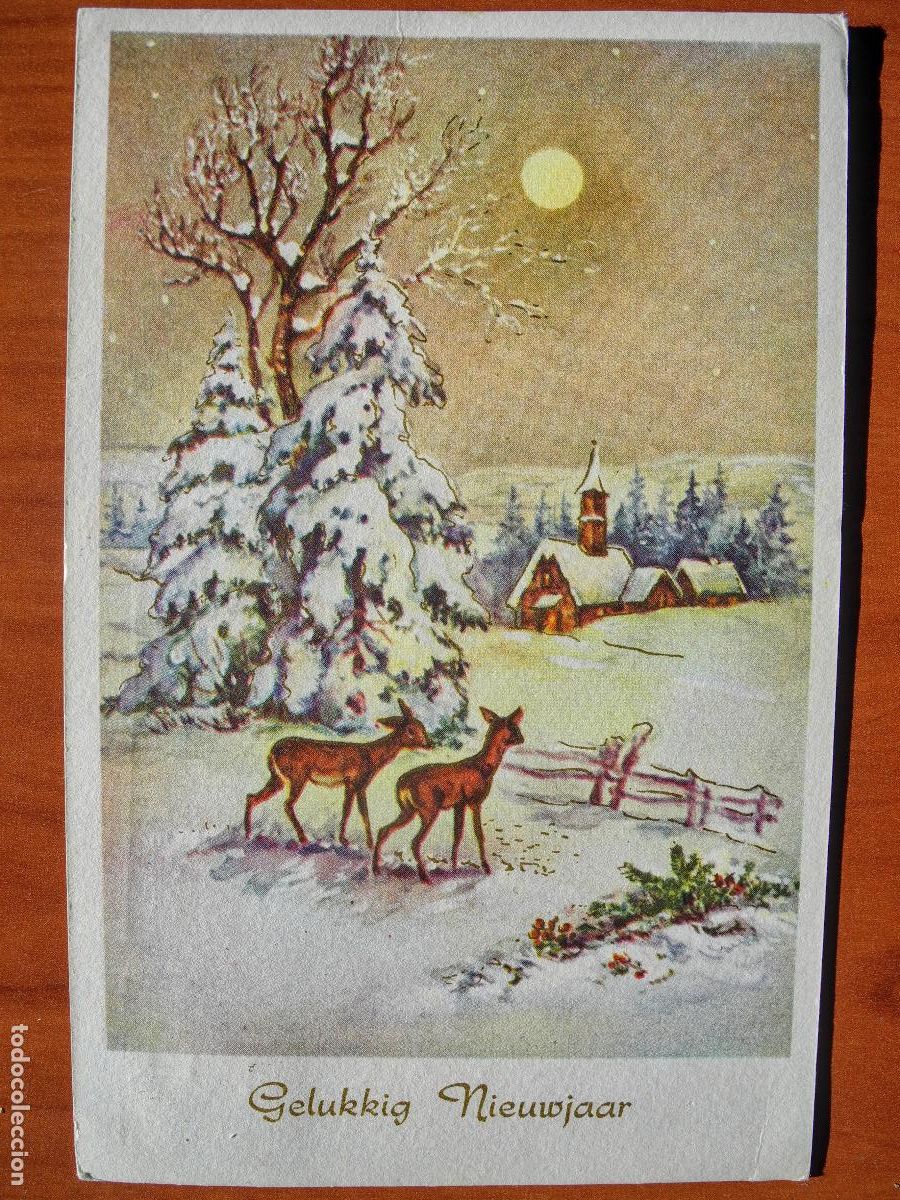 Cartes Postales: Postal Navidad Cervatillo Ciervo paisaje nevado Contornos dorados. Circulada con sello 1963 9x14