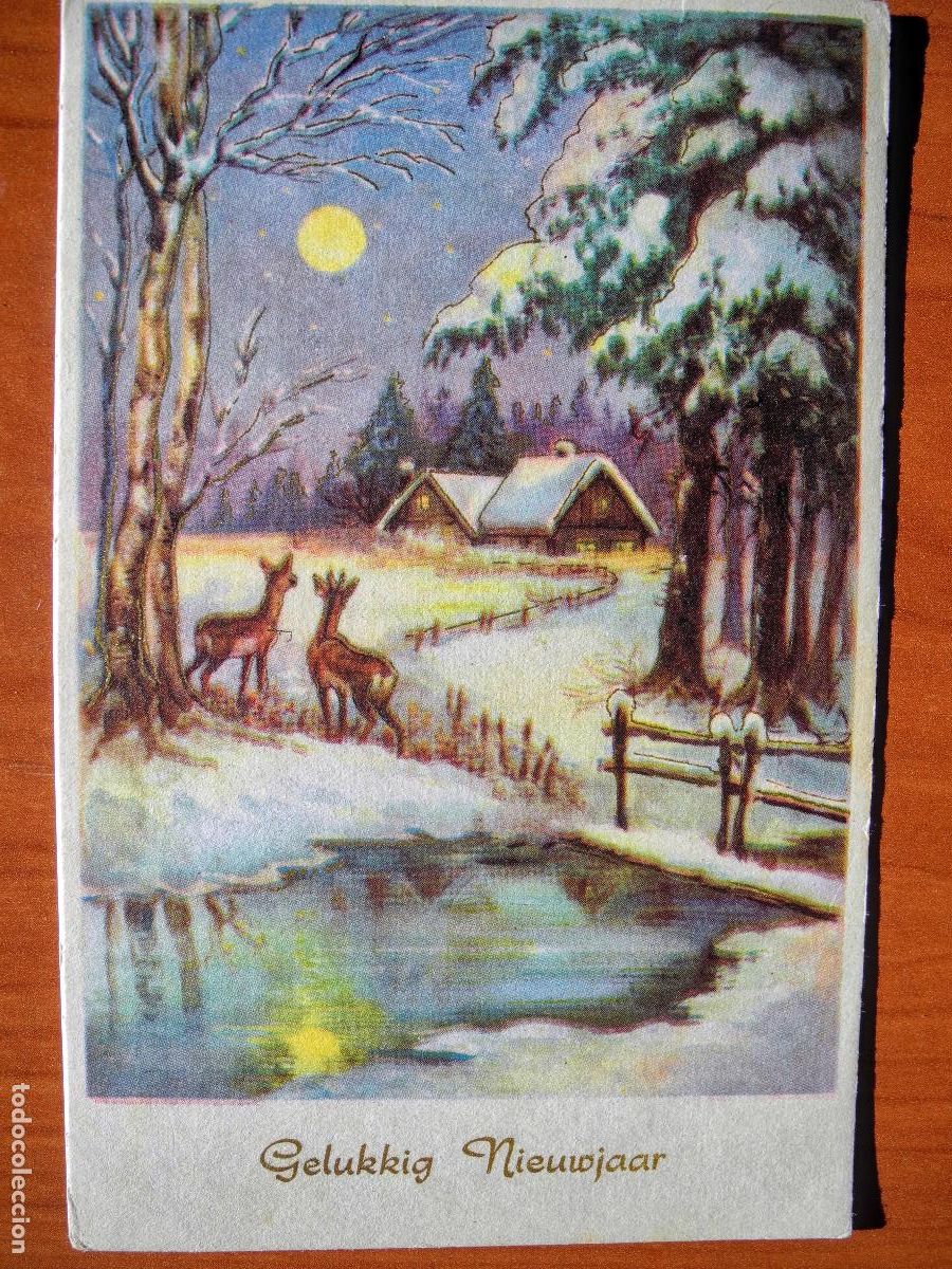 Postais: Postal Navidad Cervatillo Ciervo paisaje nevado contornos dorados circulada con sello 9x14