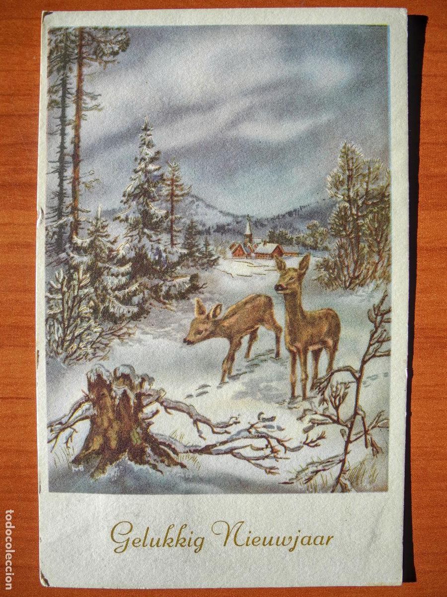 Cartes Postales: Postal Navidad Cervatillo Ciervo paisaje nevado circulada con sello 1960 9x14