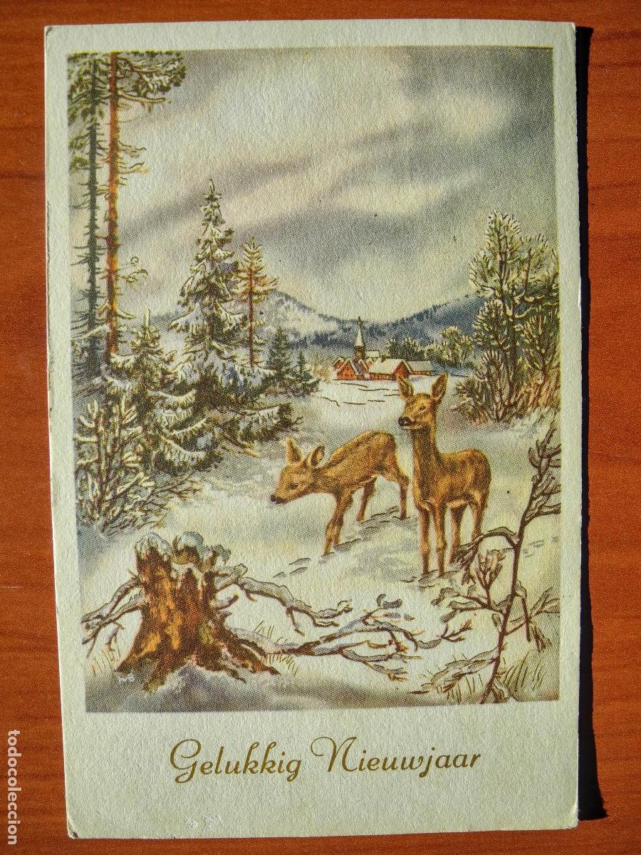 Postcards: Postal Navidad Cervatillo Ciervo paisaje nevado contornos dorados circulada con sello 9x14