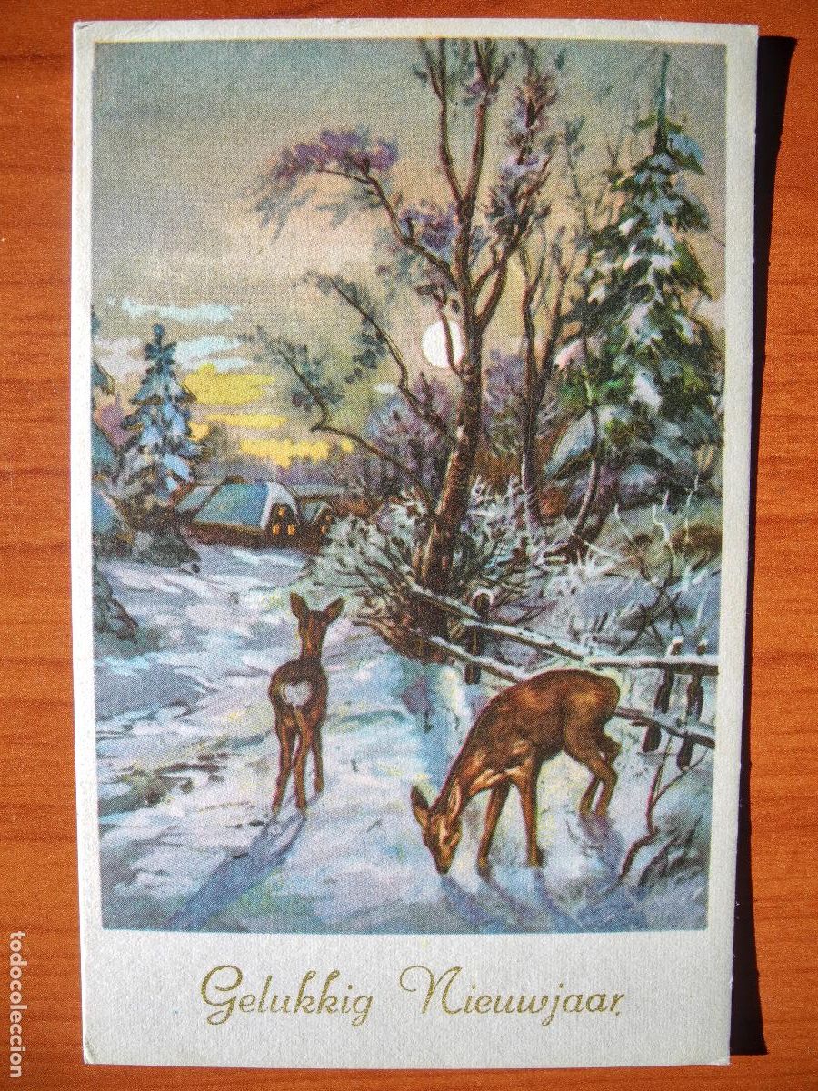 Postcards: Postal Navidad Cervatillo Ciervo paisaje nevado circulada con sello 1962 9x14