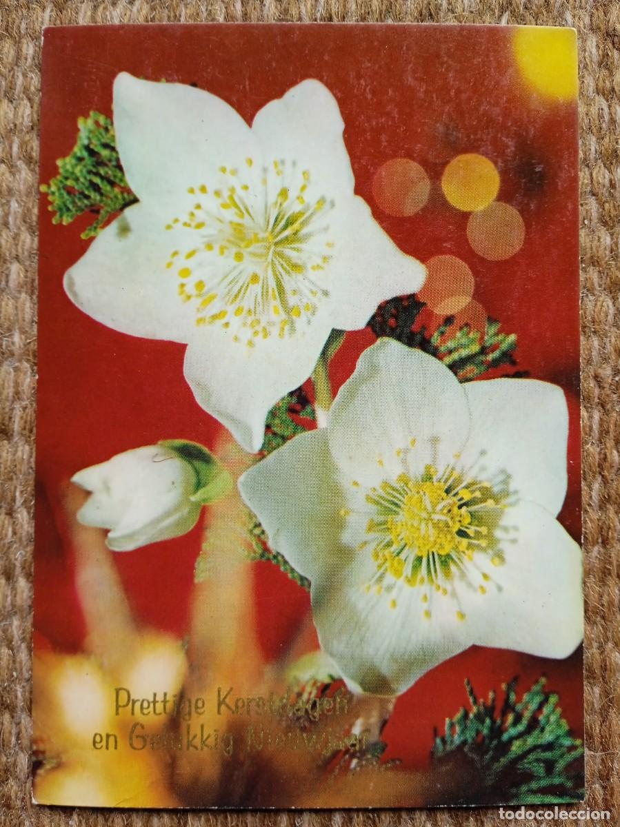 Postcards: POSTAL DE NAVIDAD