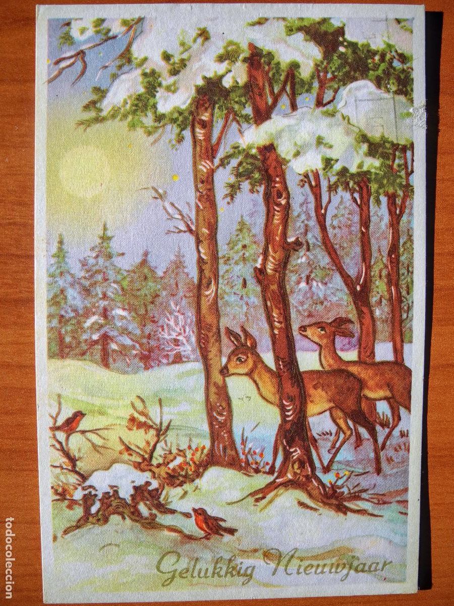 Postais: Postal Navidad Cervatillo Ciervo paisaje nevado circulada con sello 9x14