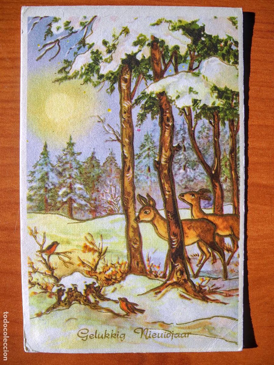 Postais: Postal Navidad Cervatillo Ciervo paisaje nevado Contornos dorados circulada con sello 9x14