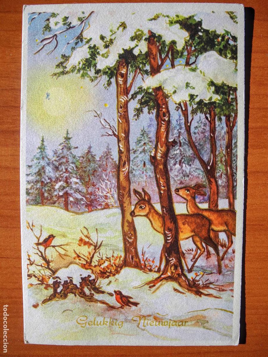 Postais: Postal Navidad Cervatillo Ciervo paisaje nevado Contornos dorados circulada con sello 9x14