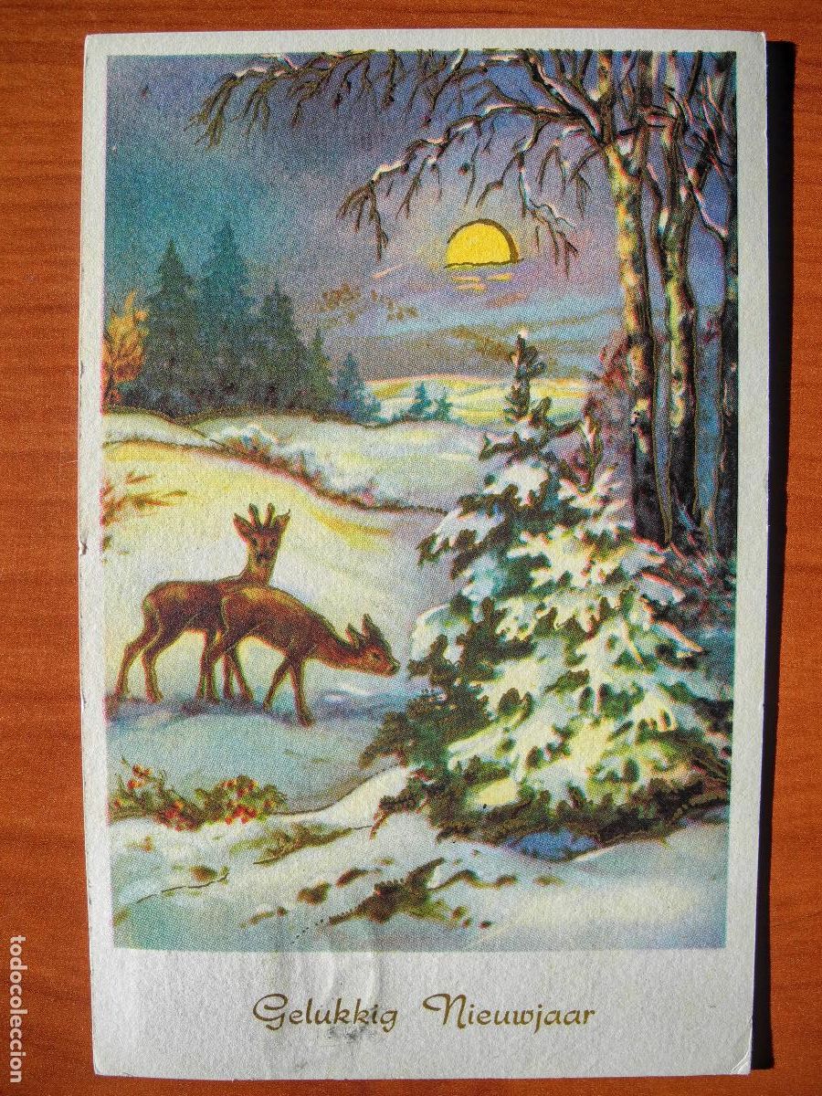 Postais: Postal Navidad Cervatillo Ciervo paisaje nevado Contornos dorados circulada con sello 1964 9x14
