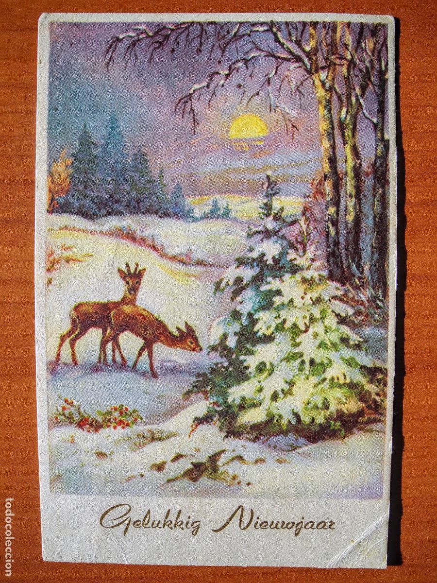 Postais: Postal Navidad Cervatillo Ciervo paisaje nevado circulada con sello 9x14