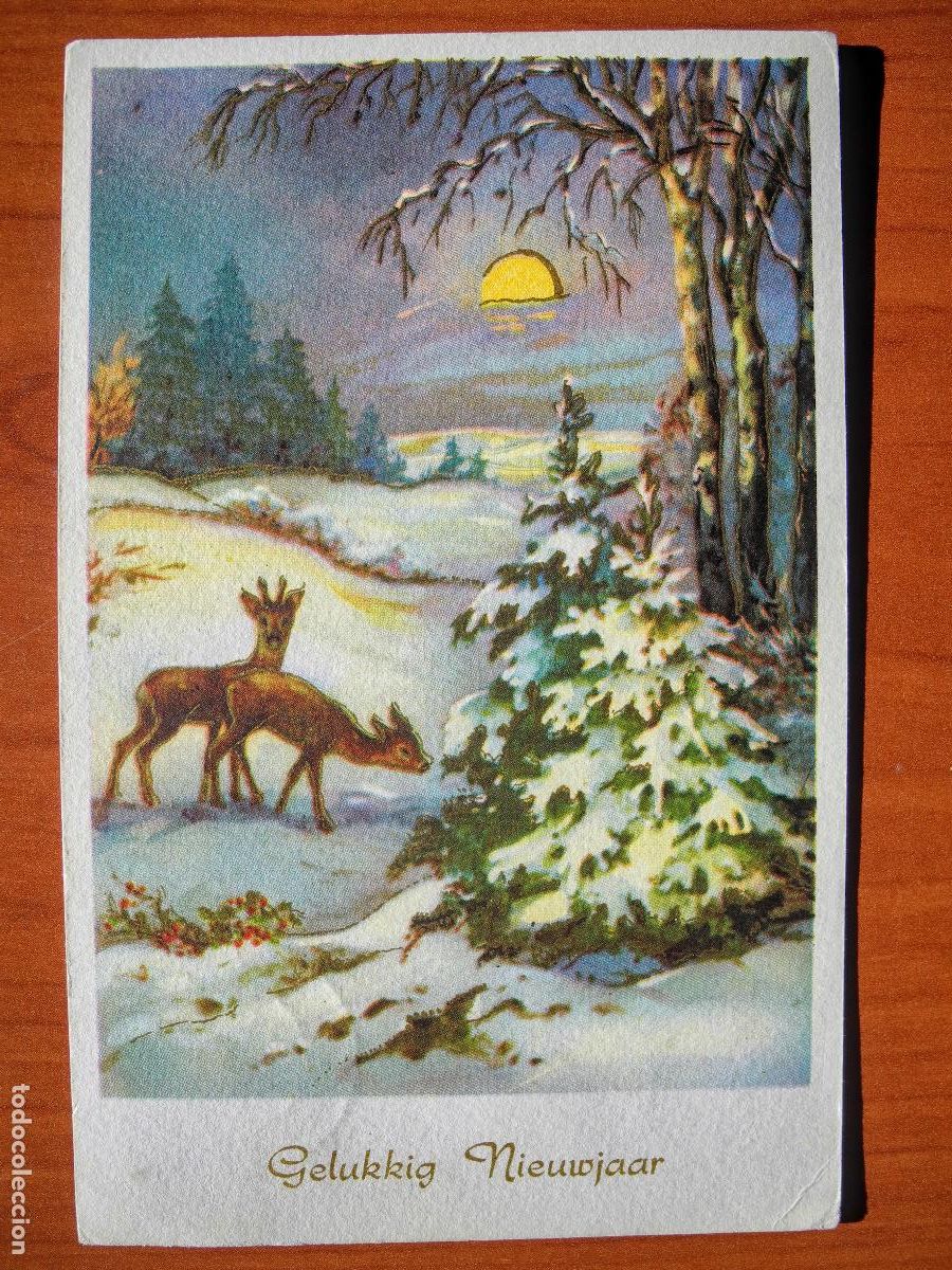 Postais: Postal Navidad Cervatillo Ciervo paisaje nevado Contornos dorados circulada con sello 1972 9x14