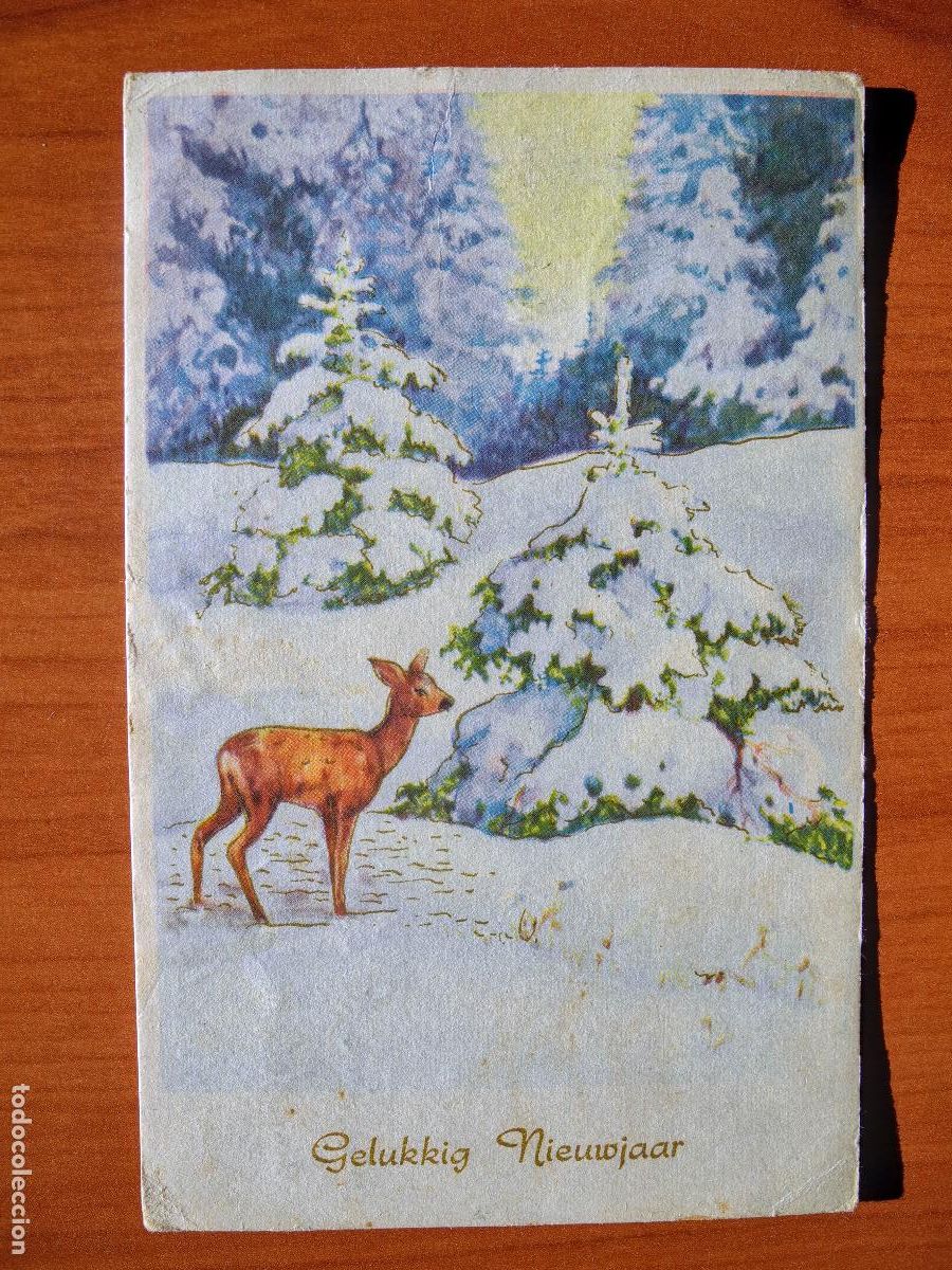 Postais: Postal Navidad Cervatillo Ciervo paisaje nevado Contornos dorados circulada con sello 1961 9x14