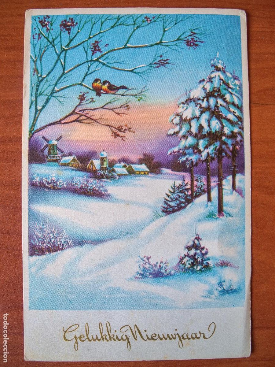 Postais: Postal Navidad paisaje nevado pajaritos Contornos dorados Circulada con sello 9x14