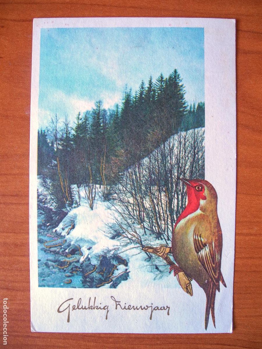Postais: Postal Navidad paisaje nevado pajarito petirrojo Contornos dorados escrita 9x14