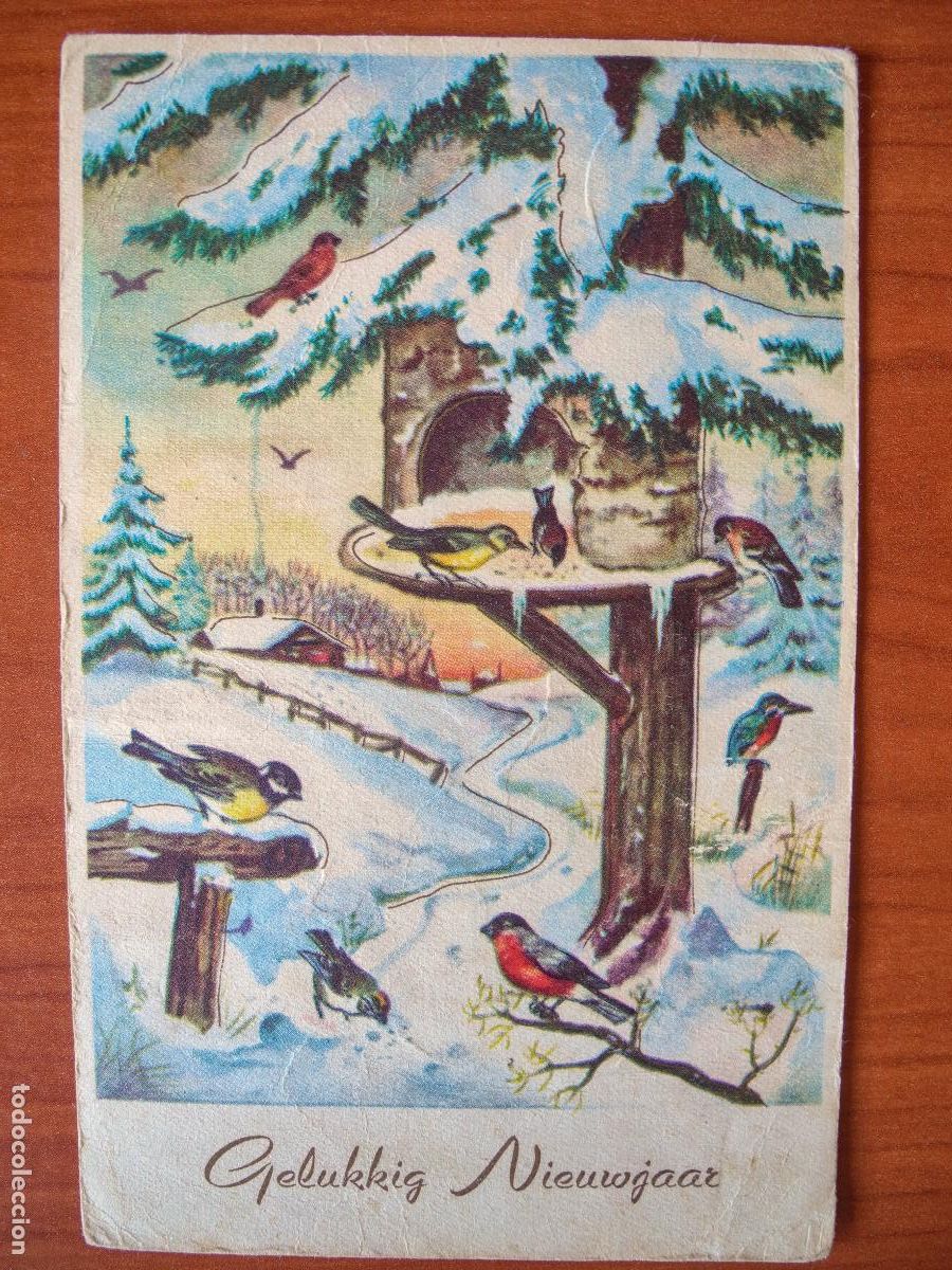 Postais: Postal Navidad paisaje nevado pajarito petirrojo herrerillo circulada si sello 9x14