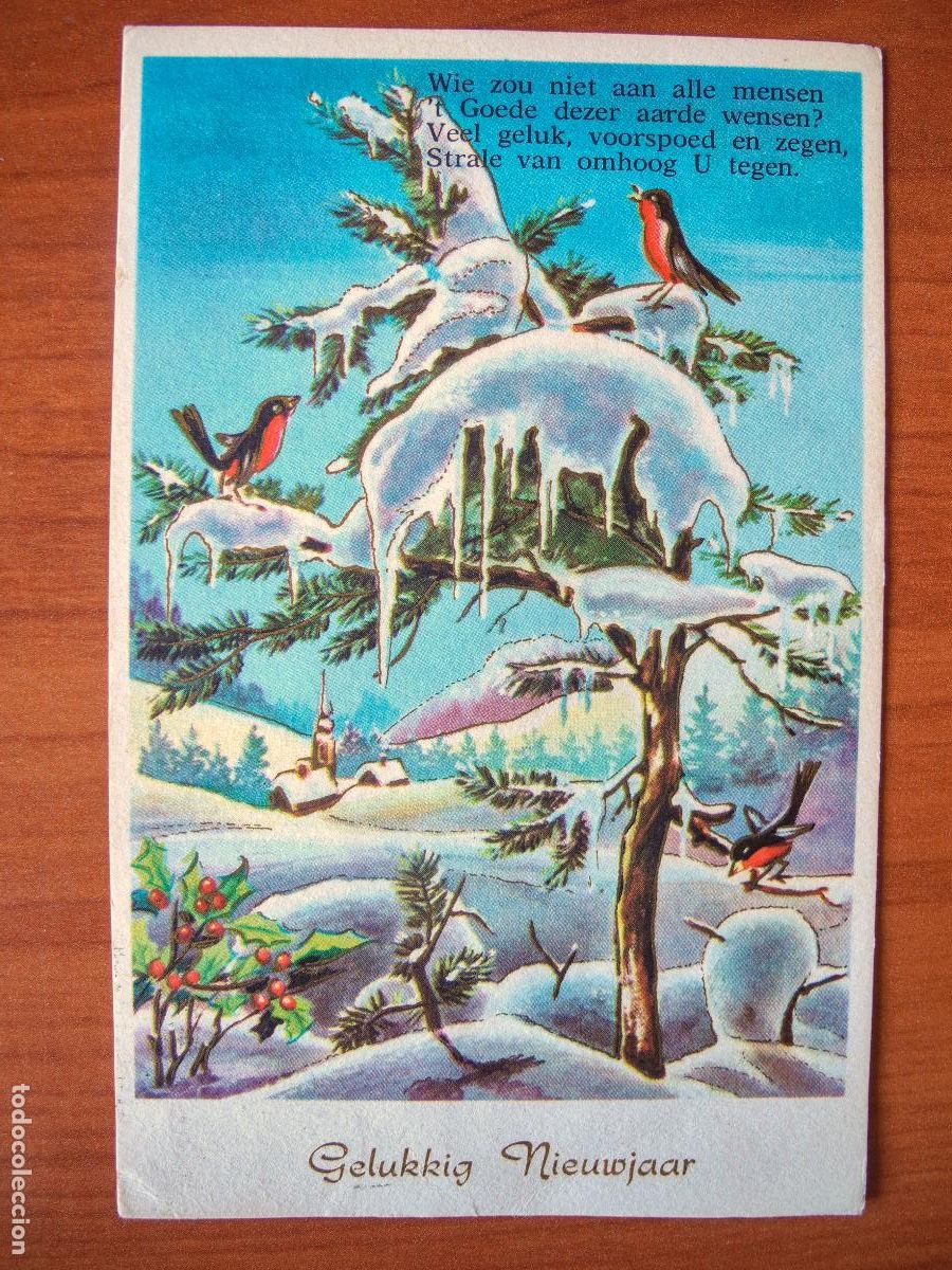 Postais: Postal Navidad paisaje nevado pajarito petirrojo contornos dorados circulada sin sello 9x14