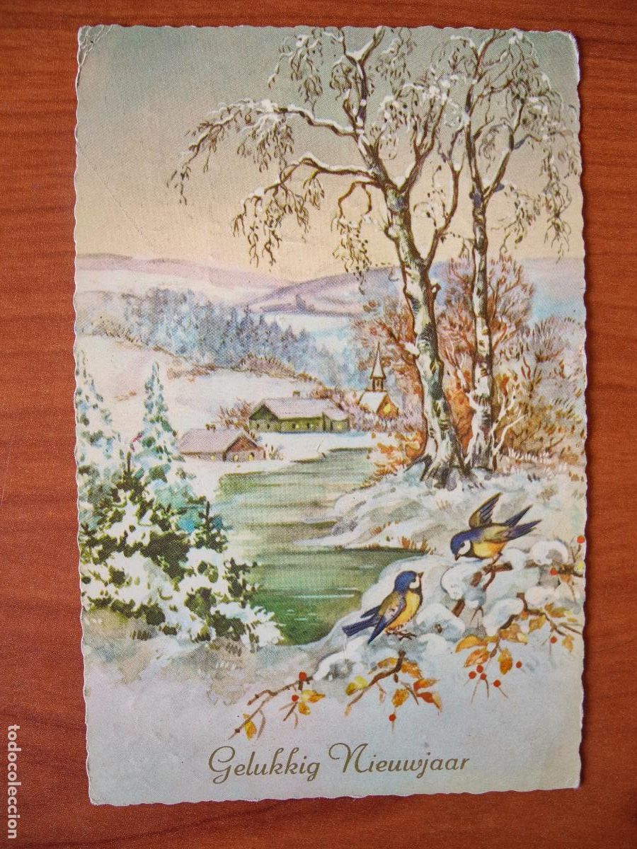 Postais: Postal Navidad paisaje nevado pajarito herrerillo acabado brillante circulada con sello 9x14