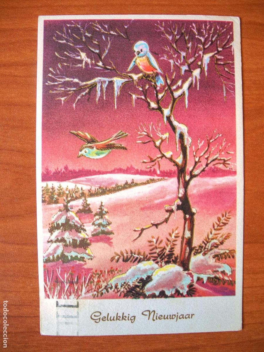 Postais: Postal Navidad. Paisaje nevado. pajarito petirrojo trazos dorados escrita circulada 9x14