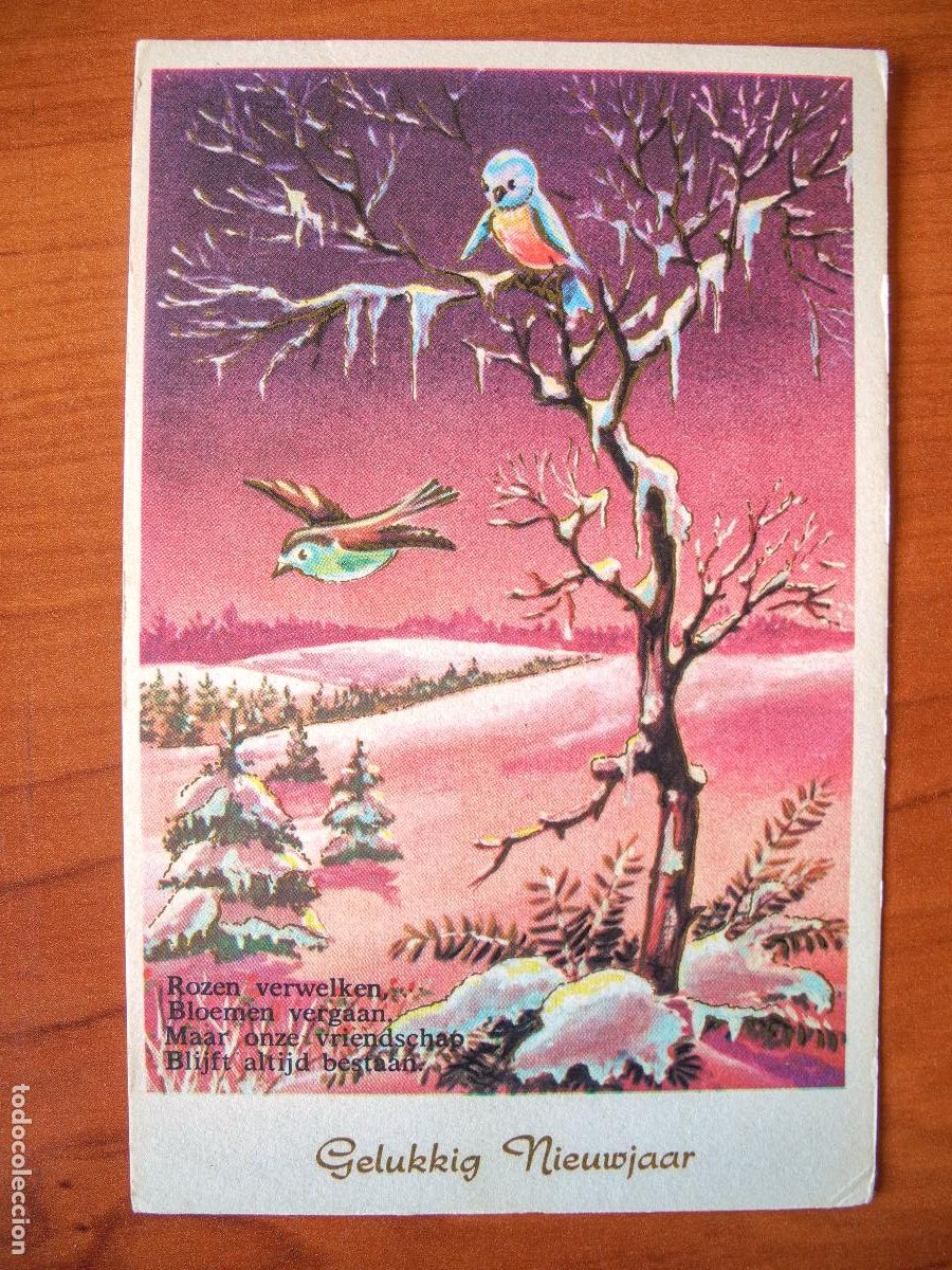 Postais: Postal Navidad. Paisaje nevado. pajarito petirrojo trazos dorados nueva 9x14