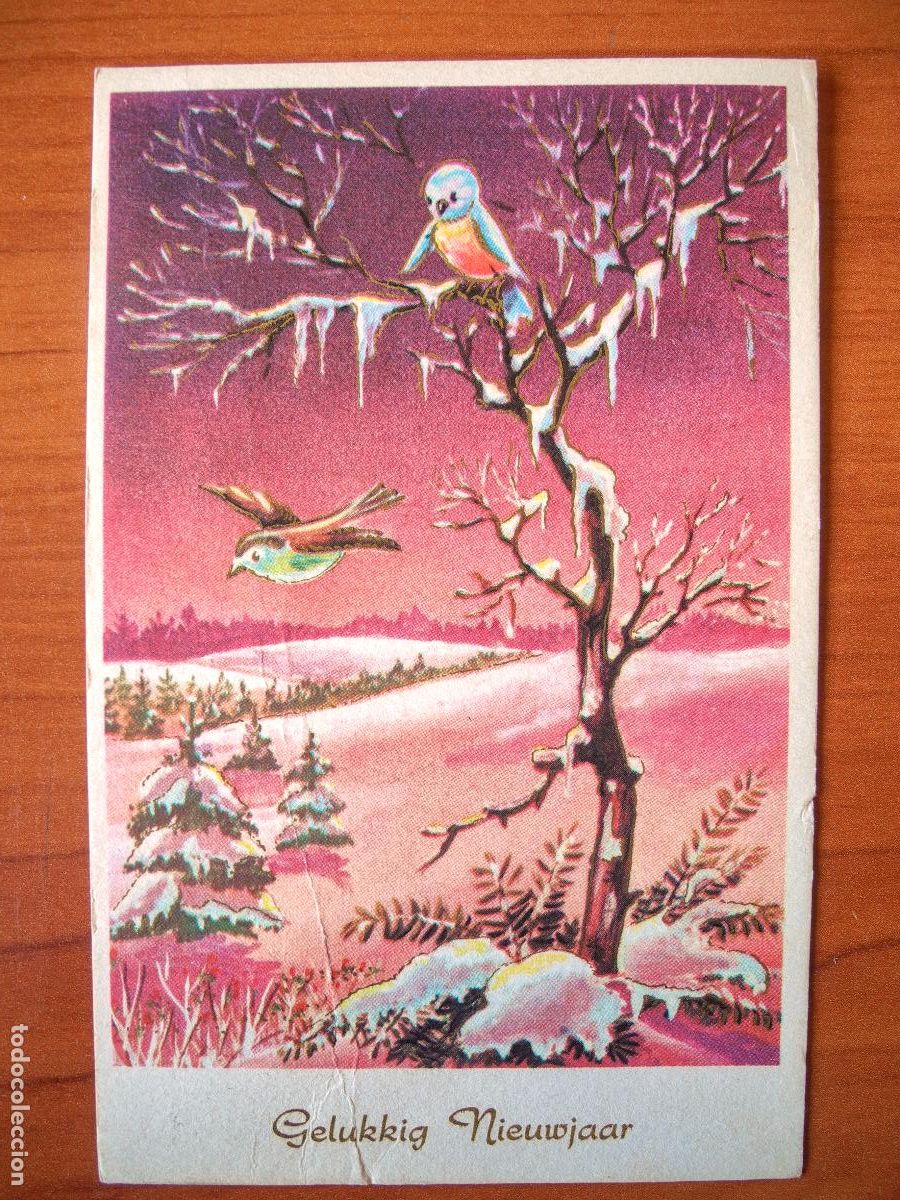 Postais: Postal Navidad. Paisaje nevado pajarito petirrojo trazos dorados nueva circulada sin sello 1963 9x14