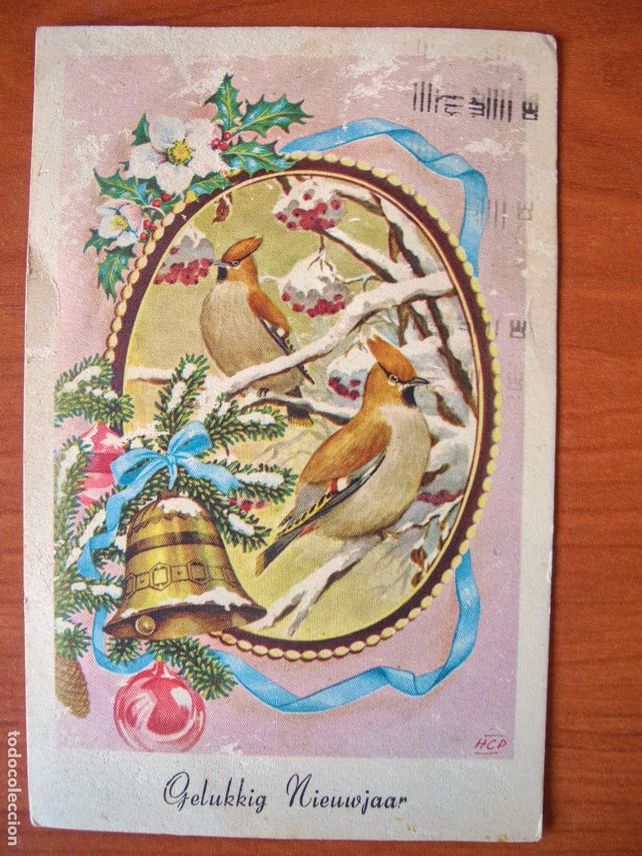 Cartoline: Postal Navidad. p&aacute;jaro pajarito Cedro Bombycilla circulada 19619x14