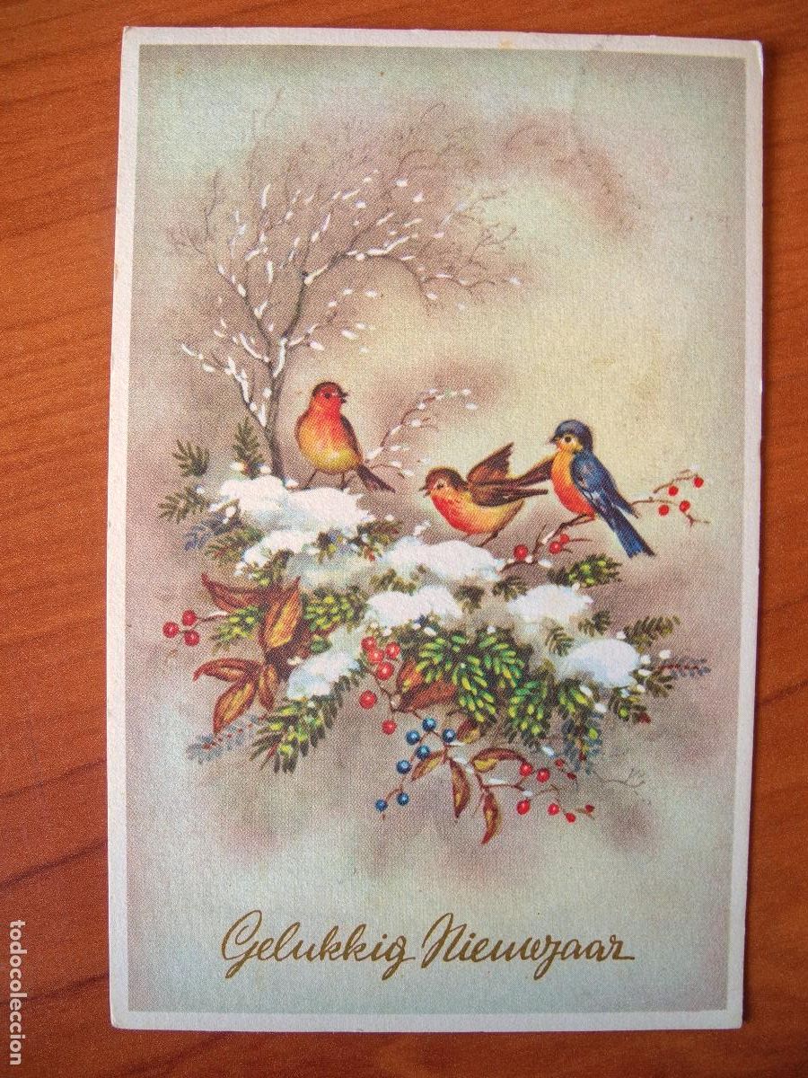Cartoline: Postal Navidad. P&aacute;jaro pajarito paisaje nevado petirrojo circulada con sello 9x14