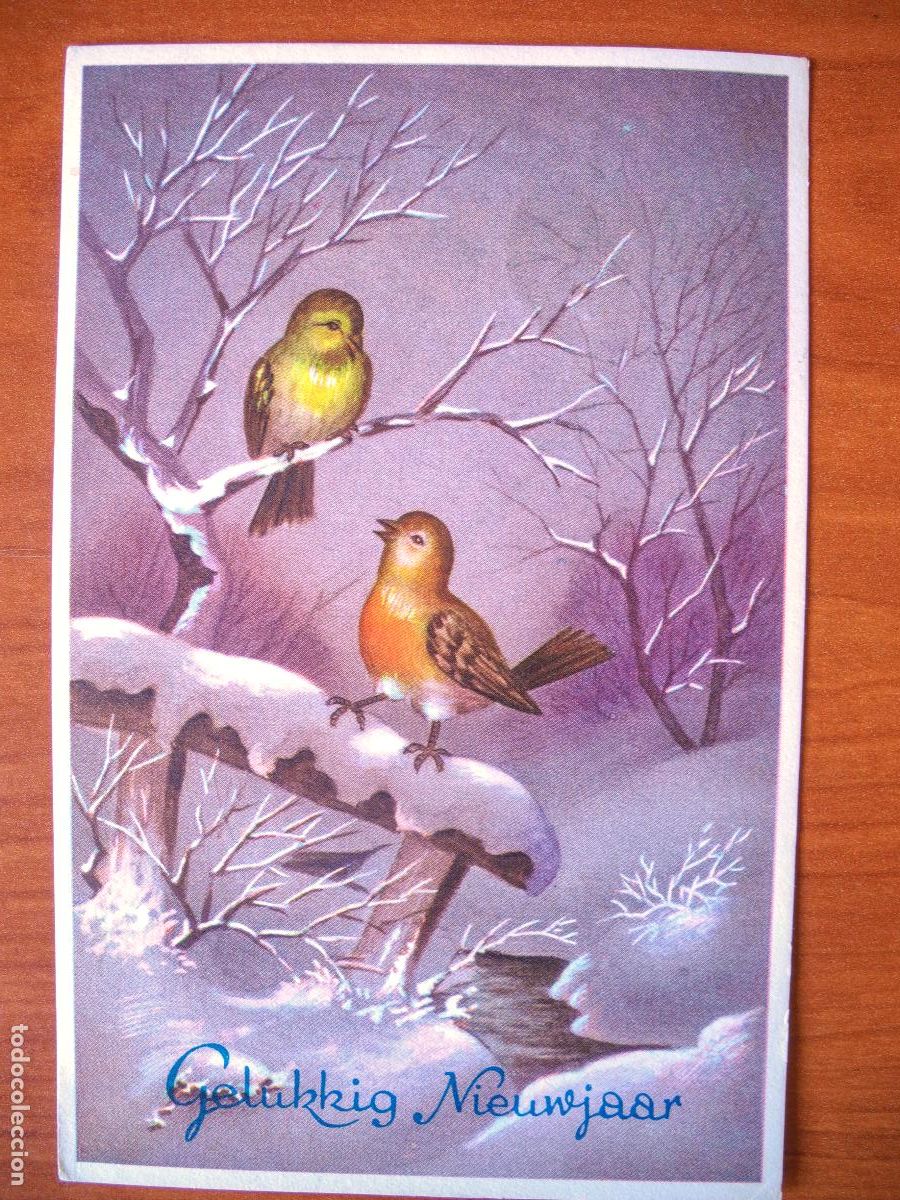 Cartoline: Postal Navidad. P&aacute;jaro pajarito paisaje nevado petirrojo herrerillo circulada con sello 9x14